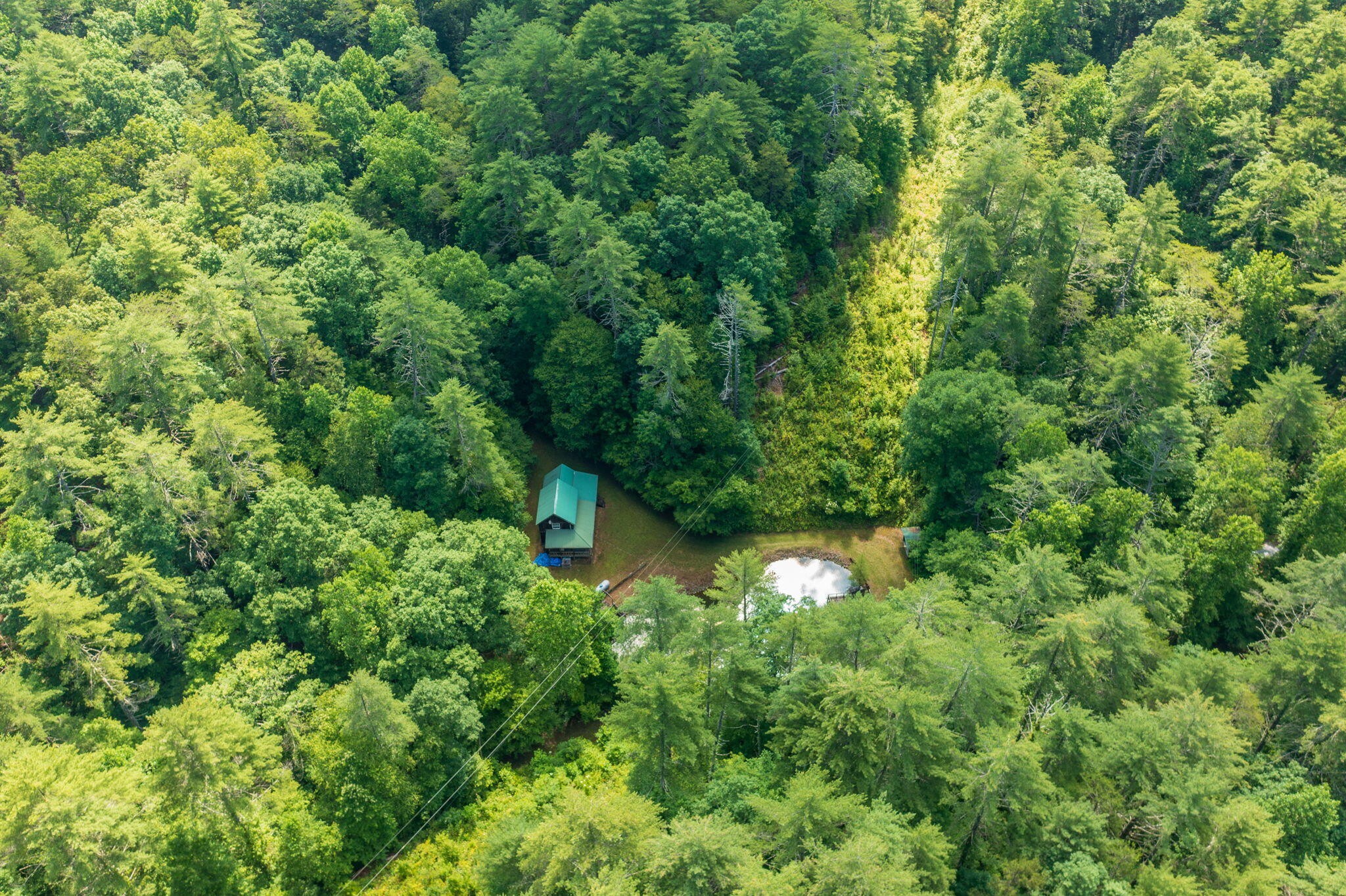 230 Big Towee Road Reliance, TN 37369 - Photo 32 of 69 a view of a garden