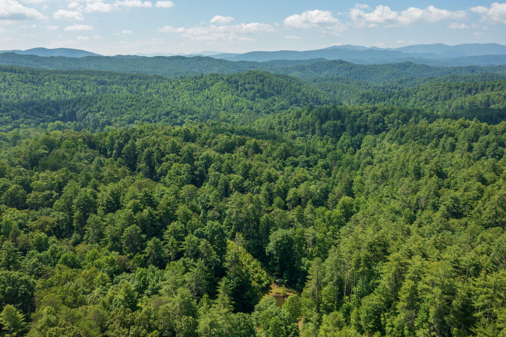 230 Big Towee Road Reliance, TN 37369 - Photo 34 of 69 a view of a mountain in the distance in a field