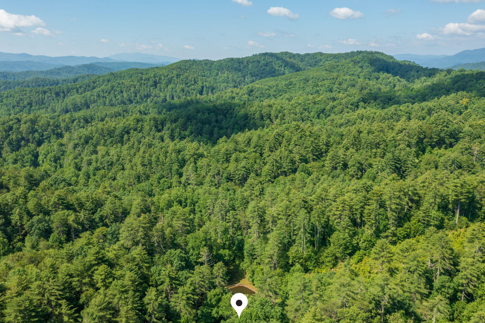 230 Big Towee Road Reliance, TN 37369 - Photo 35 of 69 a view of a lush green forest