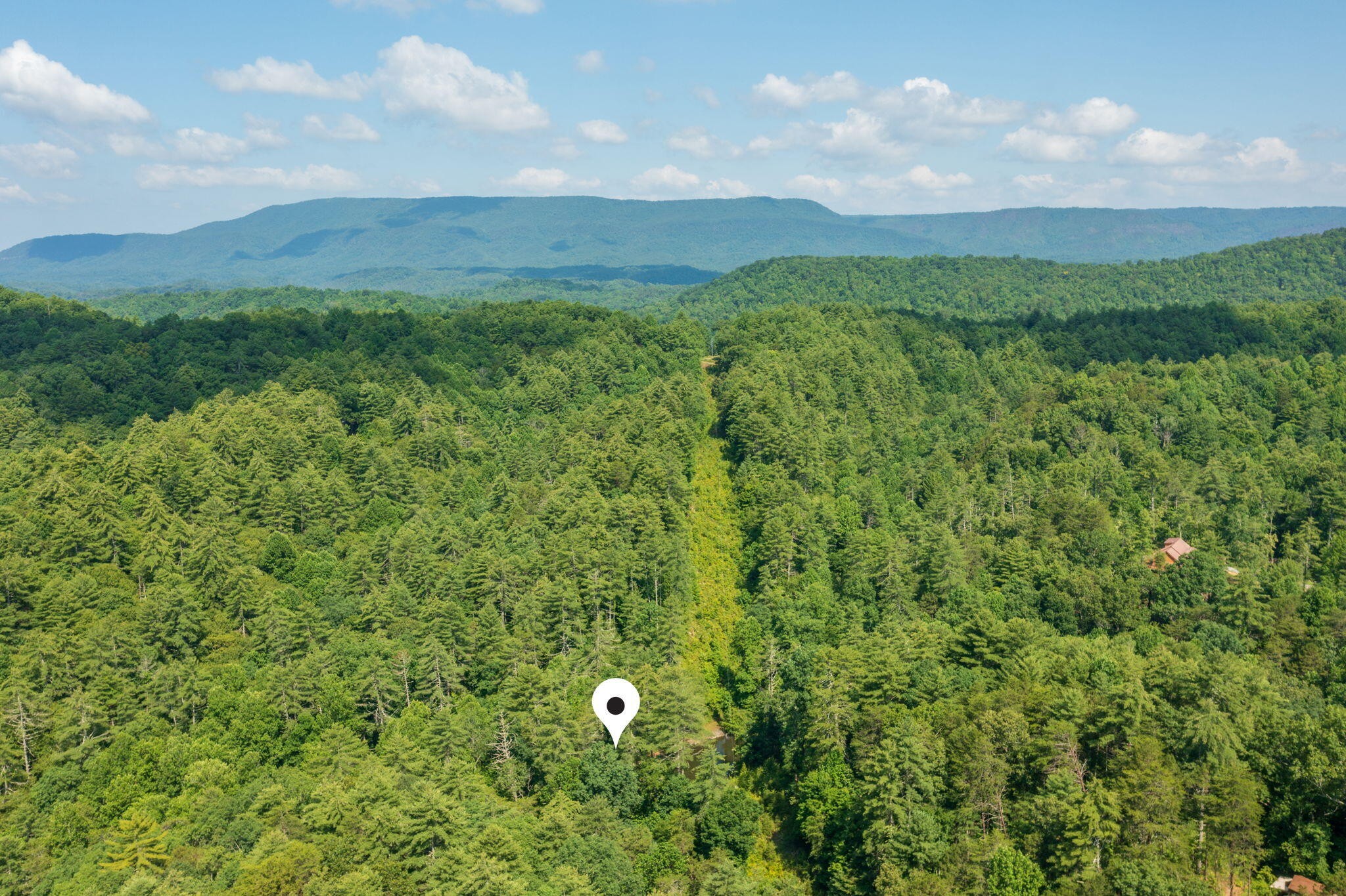 230 Big Towee Road Reliance, TN 37369 - Photo 37 of 69 a view of a city and lush green forest