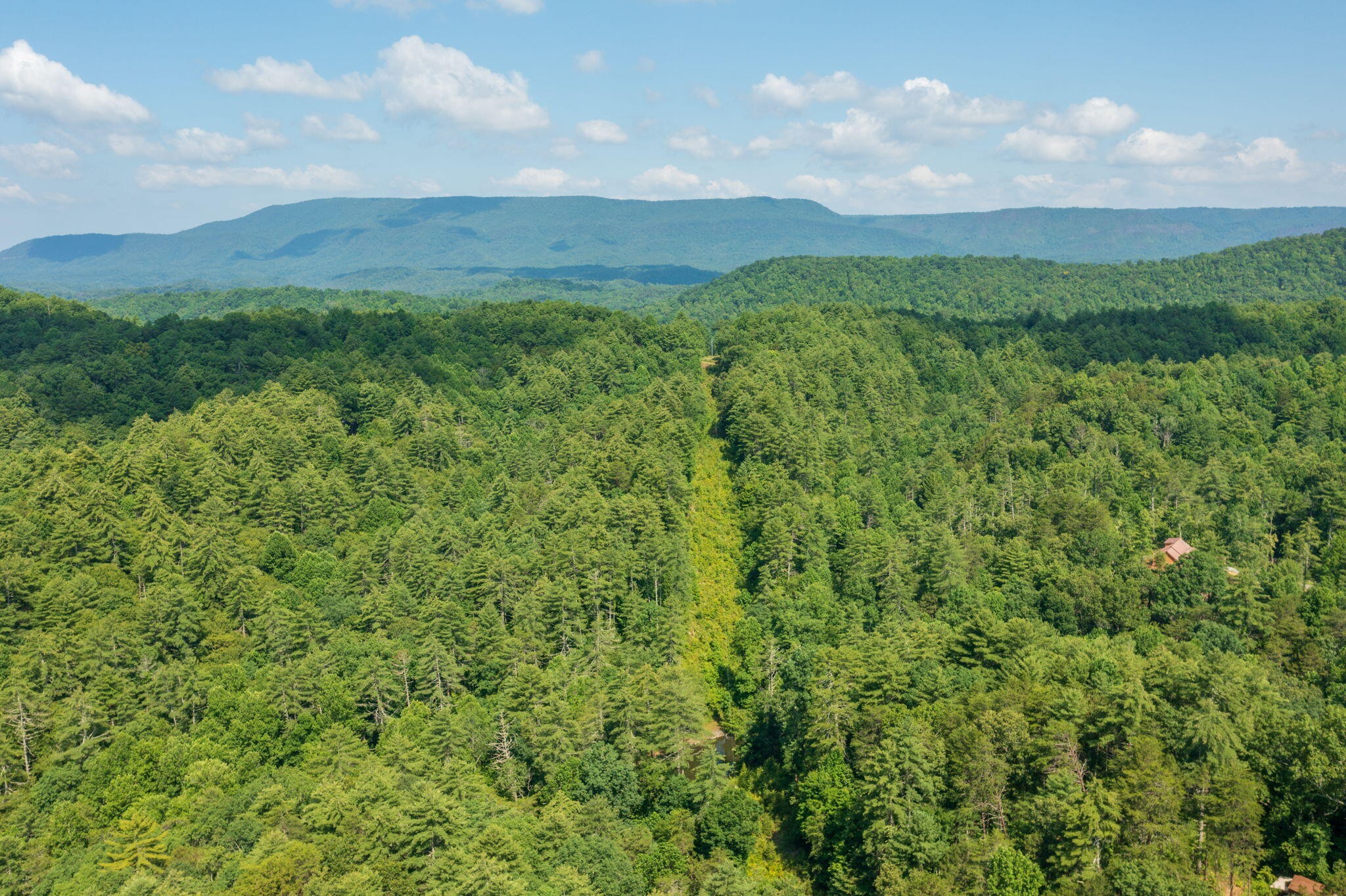 230 Big Towee Road Reliance, TN 37369 - Photo 38 of 69