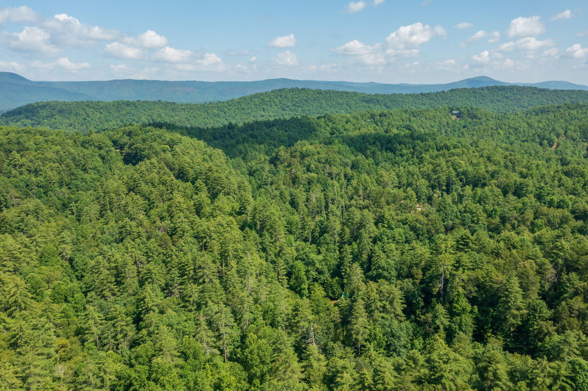 230 Big Towee Road Reliance, TN 37369 - Photo 40 of 69