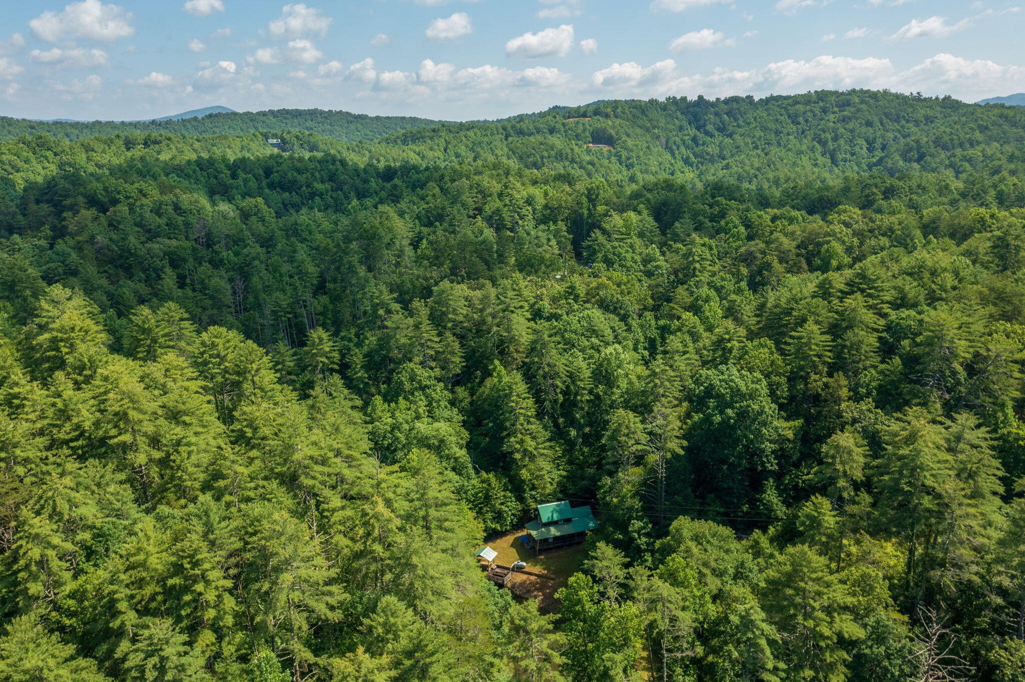 230 Big Towee Road Reliance, TN 37369 - Photo 41 of 69