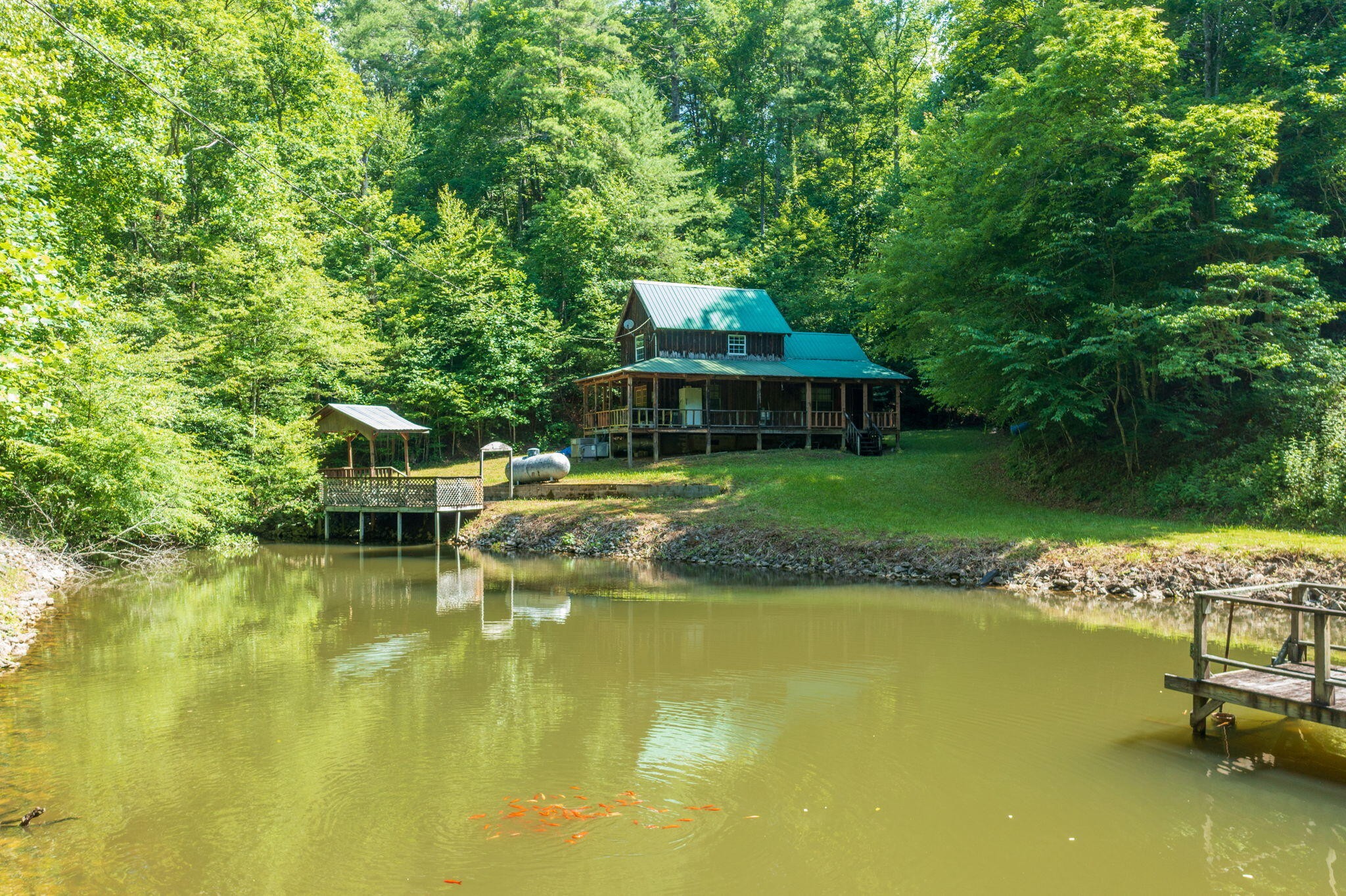 230 Big Towee Road Reliance, TN 37369 - Photo 45 of 69 a view of a swimming pool with lounge chair