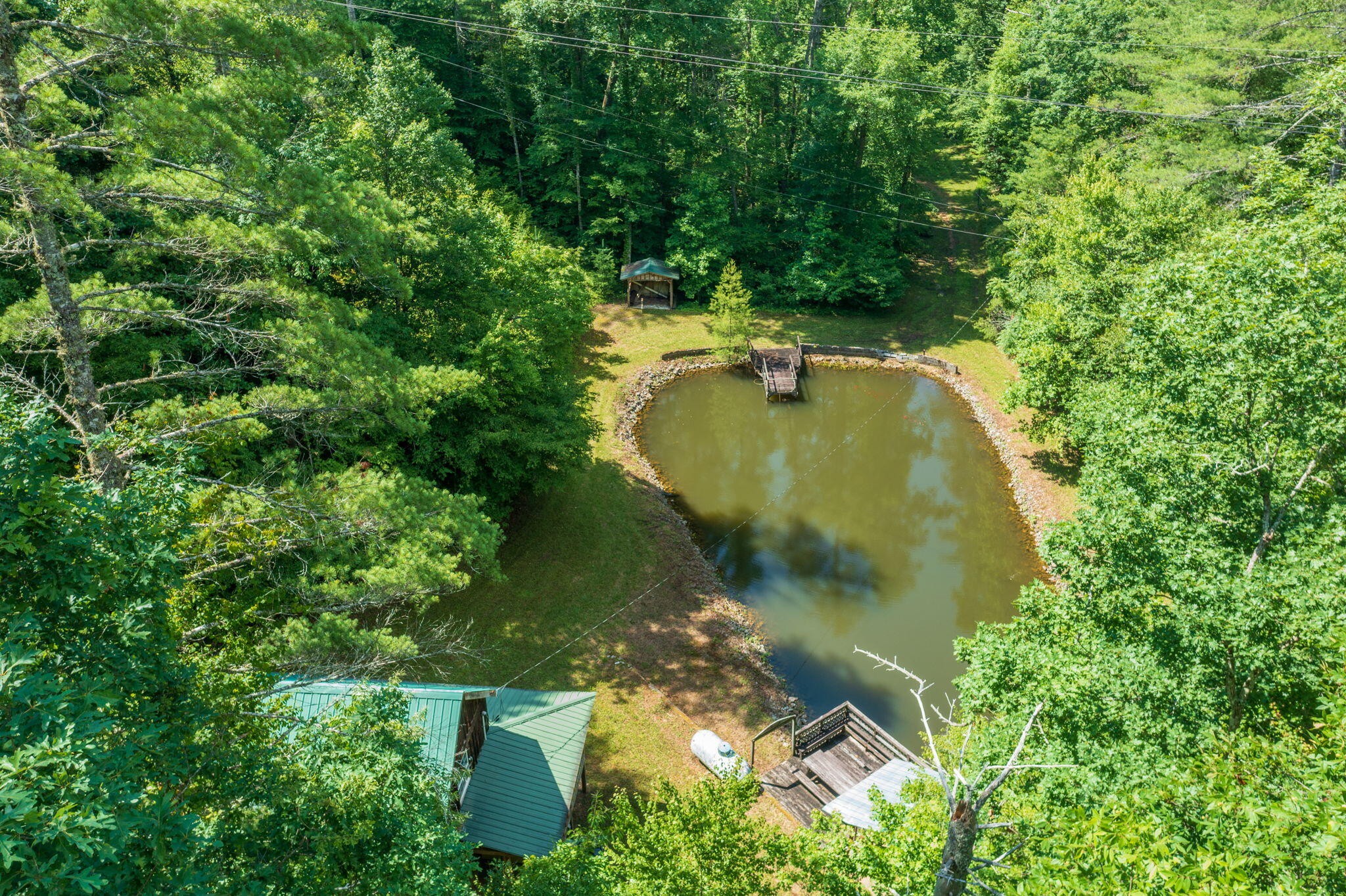 230 Big Towee Road Reliance, TN 37369 - Photo 48 of 69 an aerial view of a house with swimming pool and garden
