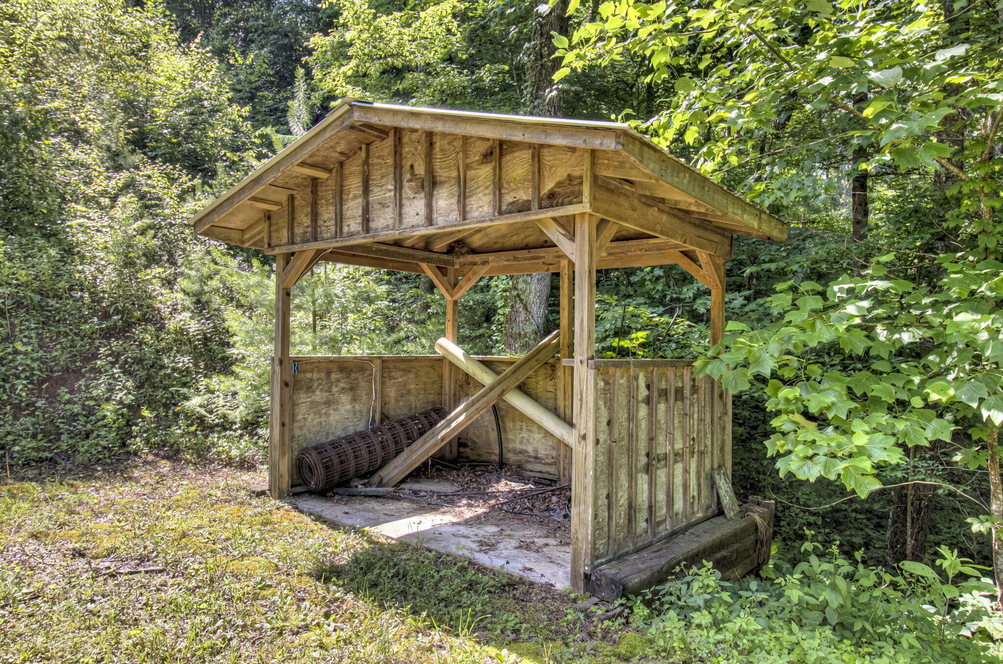 230 Big Towee Road Reliance, TN 37369 - Photo 53 of 69 a view of a wooden house with a small yard and large trees