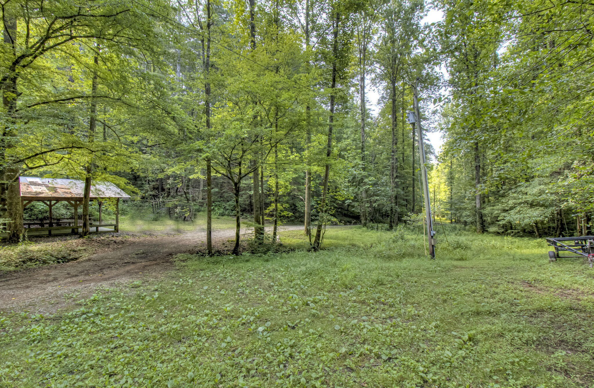 230 Big Towee Road Reliance, TN 37369 - Photo 55 of 69 a view of outdoor space with trees all around