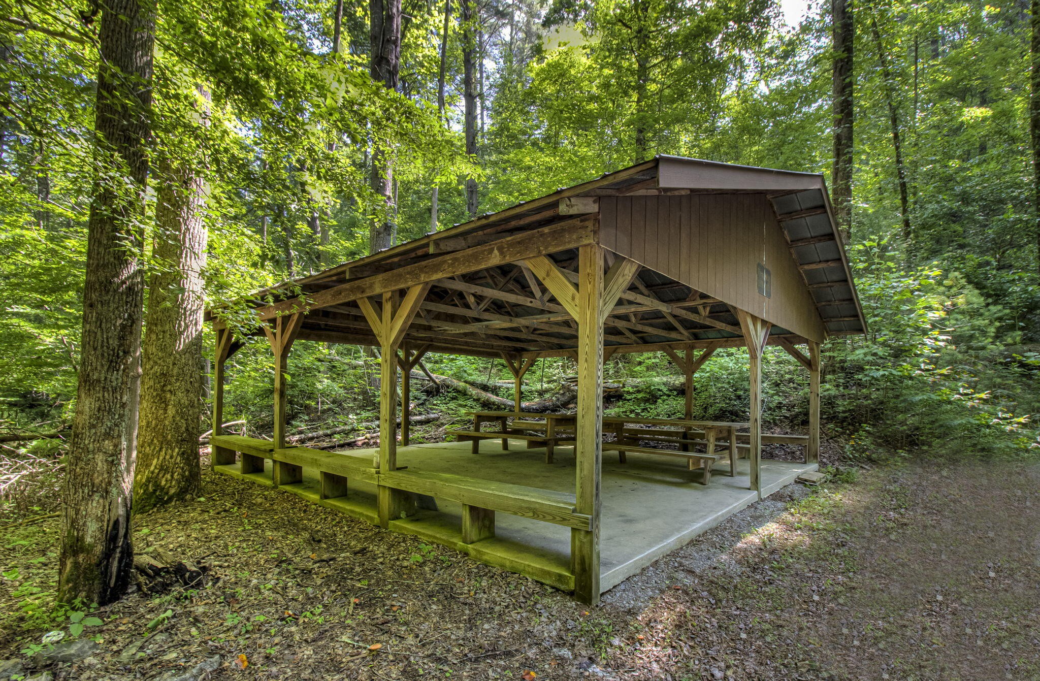 230 Big Towee Road Reliance, TN 37369 - Photo 56 of 69 a backyard of a house with table and chairs