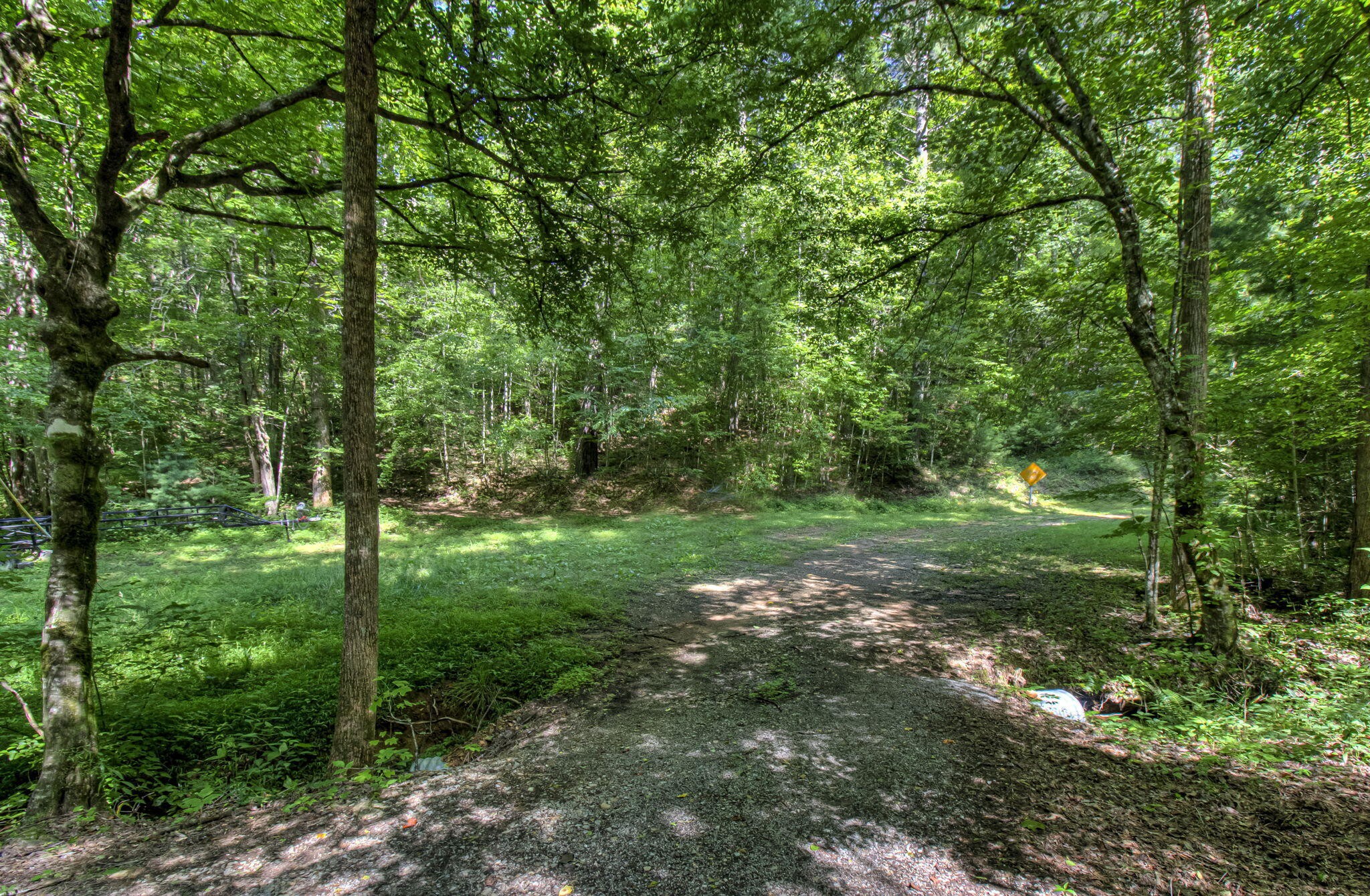 230 Big Towee Road Reliance, TN 37369 - Photo 57 of 69 a view of a trees with a yard