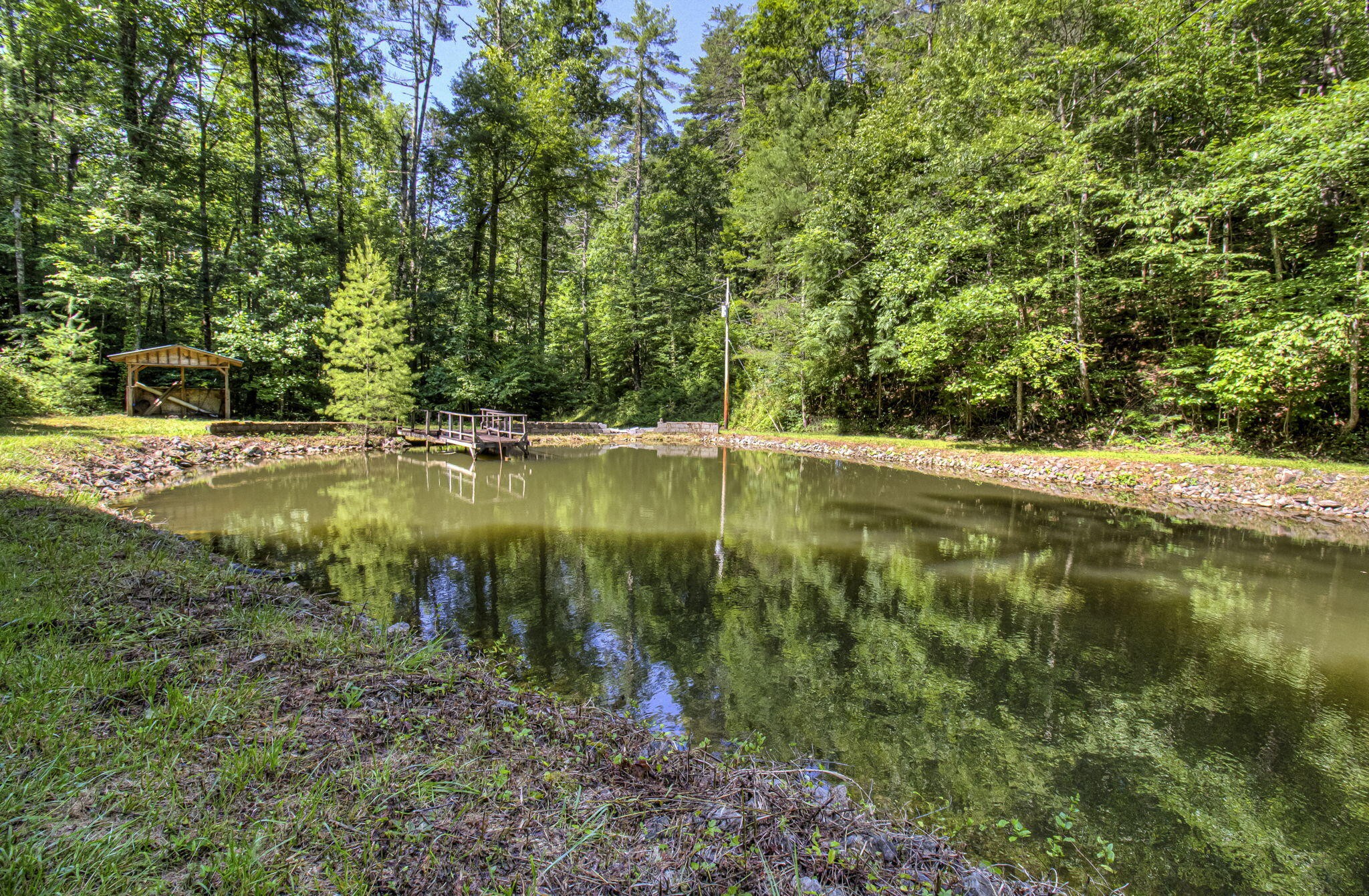 230 Big Towee Road Reliance, TN 37369 - Photo 58 of 69 a view of a lake with a yard