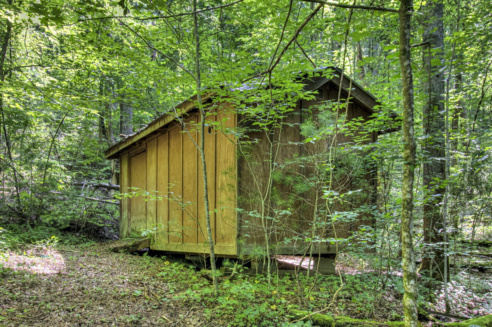 230 Big Towee Road Reliance, TN 37369 - Photo 69 of 69