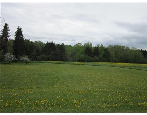 195 East Presque Isle Road Caribou, ME 04736 - Photo 4 of 12 Land. lovely back yard goes into the...