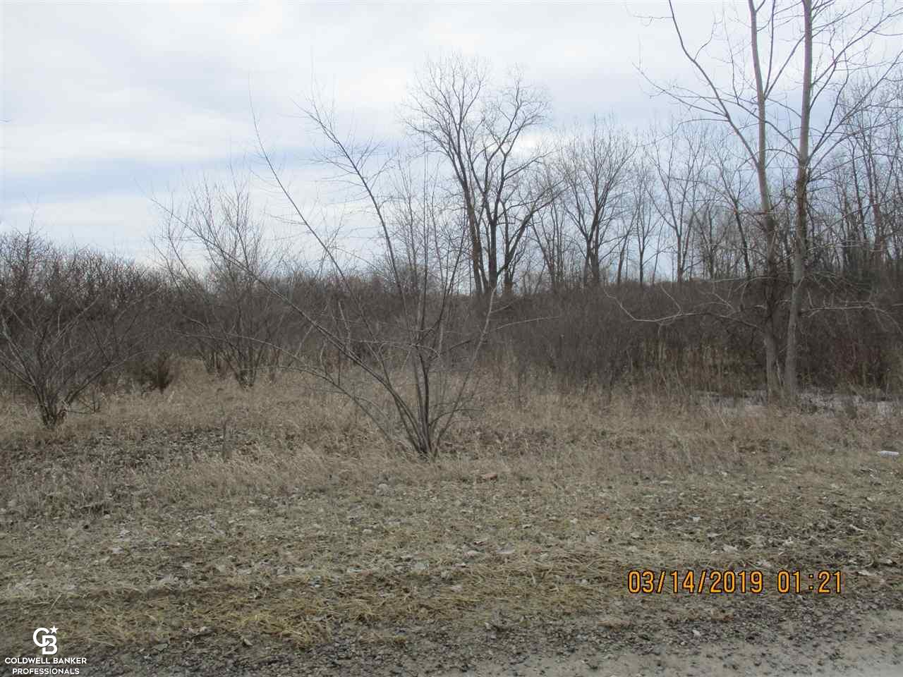 0 Welding Road Richmond, MI 48062 - Photo 4 of 9