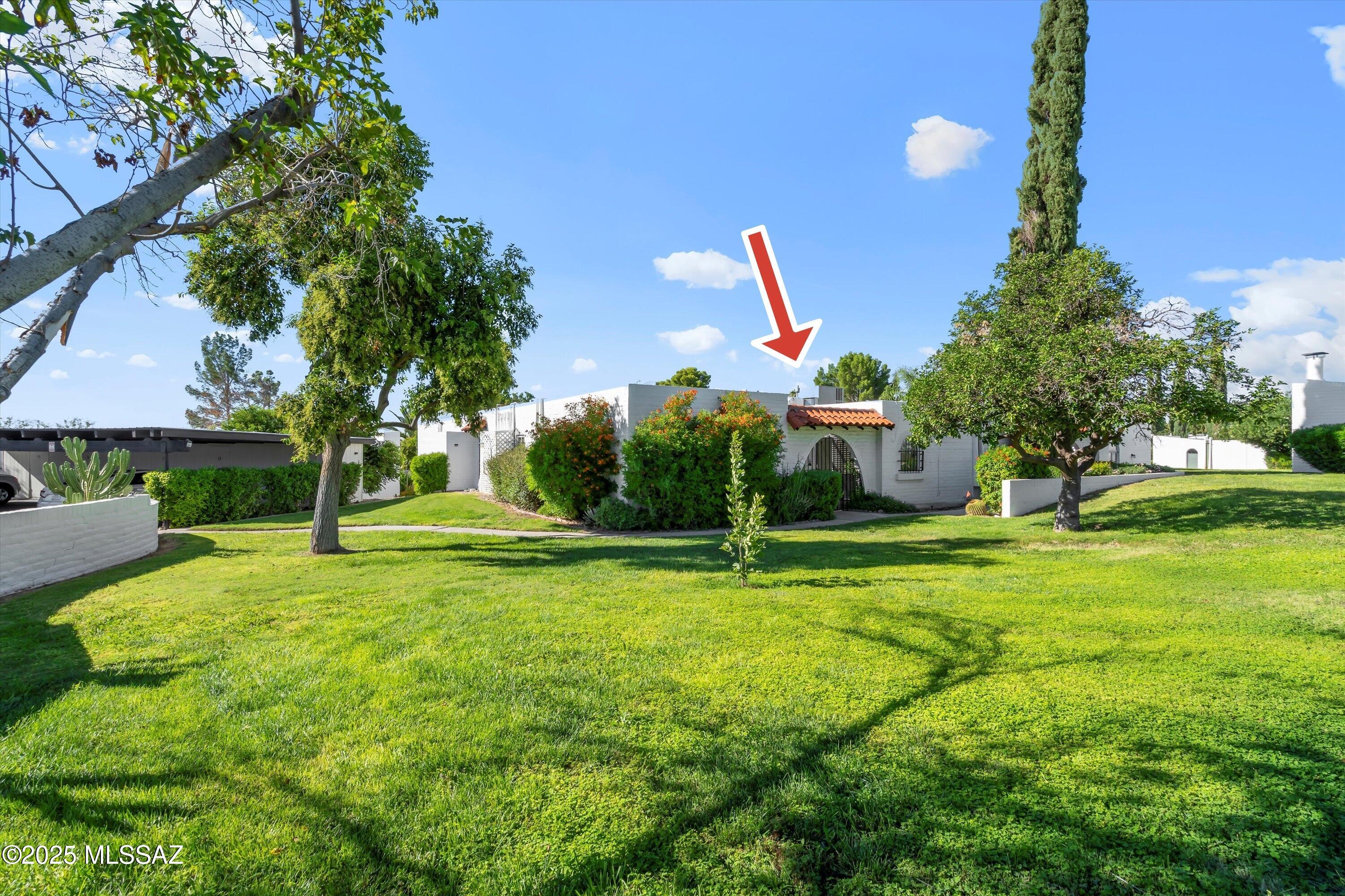 700 West Roller Coaster Road Tucson, AZ 85704 - Photo 4 of 50 Gallery Image 4