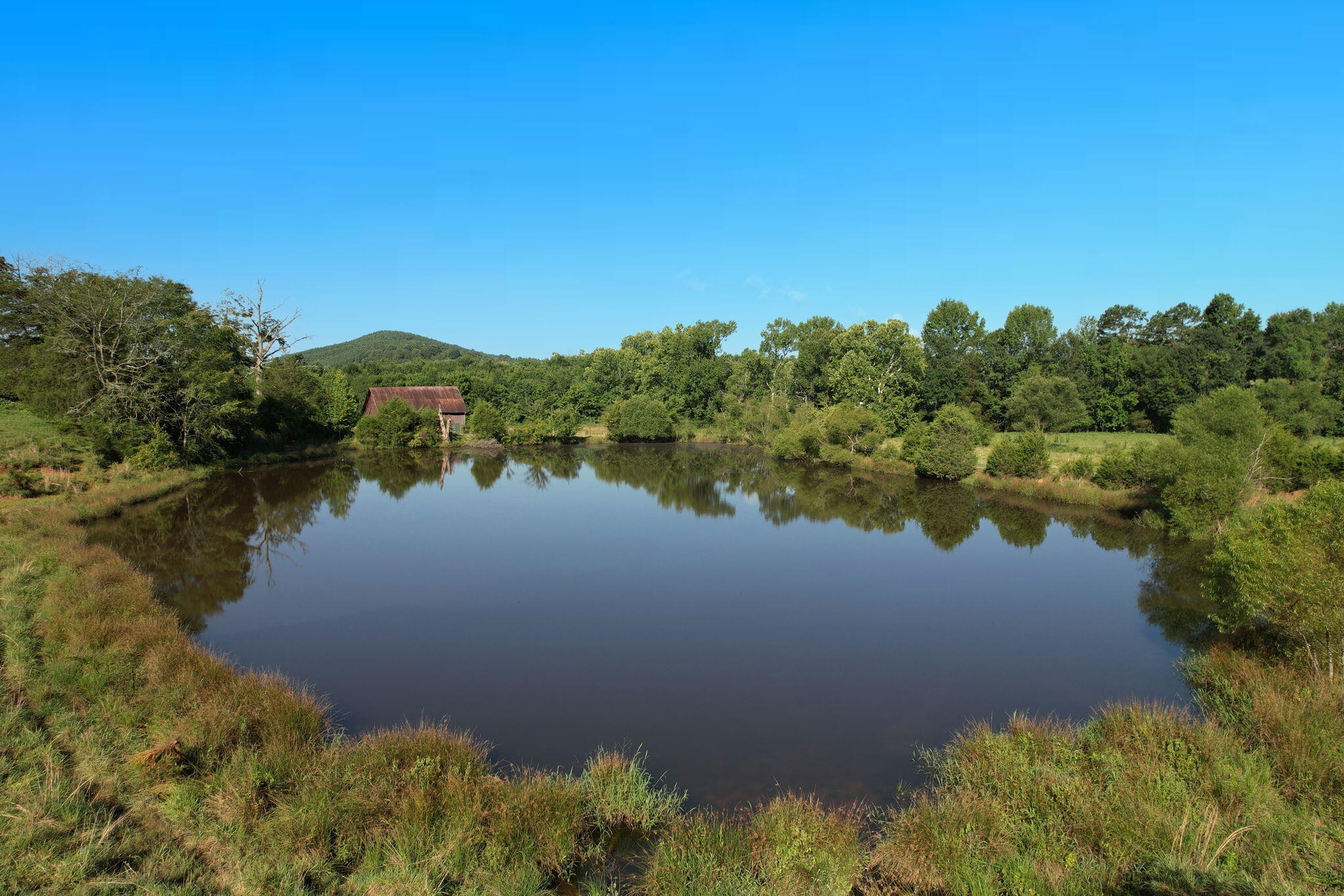 2711 Jordan Road Decatur, TN 37322 - Photo 7 of 21 Gallery Image 7