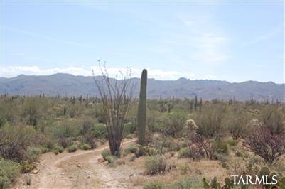 35000 South Owl Head Ranch Road, Unit 37000 Marana, AZ 85658 - Photo 1 of 13 Gallery Image 1