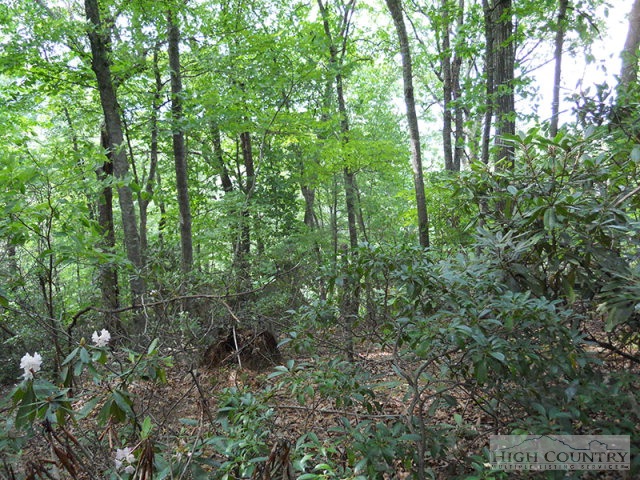 Grouse Ridge Boone, NC 28607 - Photo 1 of 15 Gallery Image 1