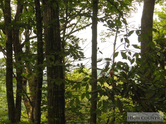 Grouse Ridge Boone, NC 28607 - Photo 11 of 15 Gallery Image 11