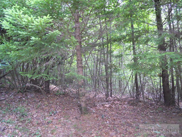 Grouse Ridge Boone, NC 28607 - Photo 12 of 15 Gallery Image 12