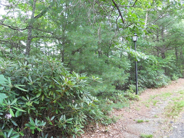 Grouse Ridge Boone, NC 28607 - Photo 14 of 15 Gallery Image 14