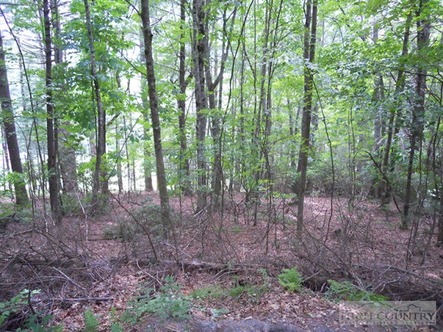 Grouse Ridge Boone, NC 28607 - Photo 15 of 15 Gallery Image 15