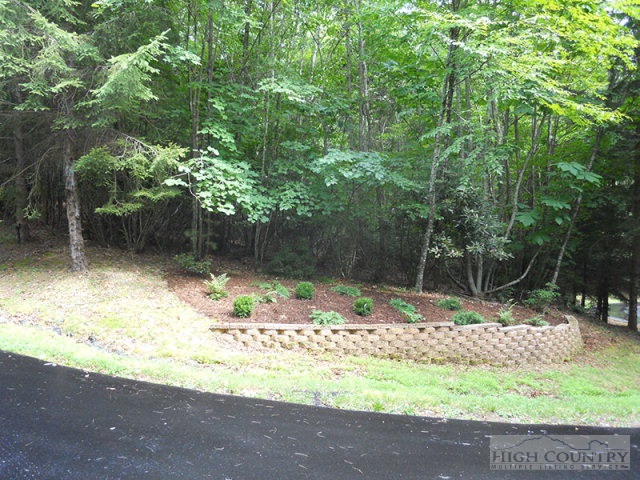 Grouse Ridge Boone, NC 28607 - Photo 2 of 15 Gallery Image 2