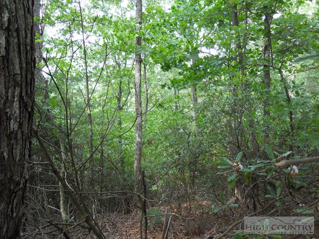 Grouse Ridge Boone, NC 28607 - Photo 4 of 15 Gallery Image 4