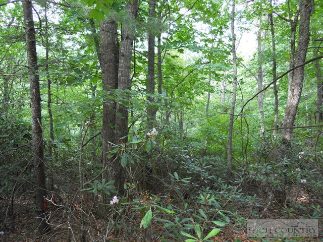 Grouse Ridge Boone, NC 28607 - Photo 5 of 15 Gallery Image 5