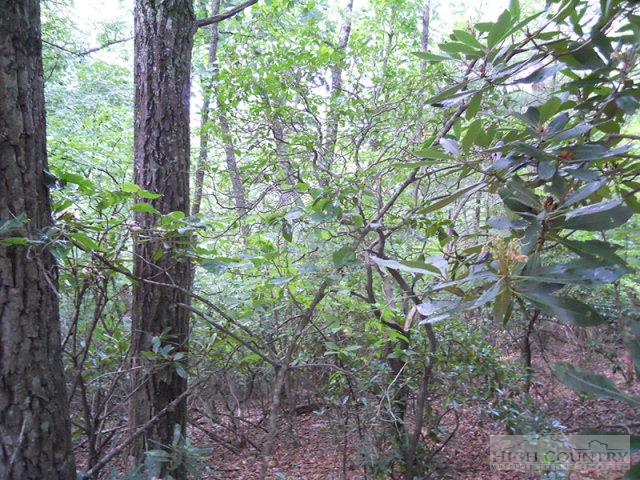 Grouse Ridge Boone, NC 28607 - Photo 7 of 15 Gallery Image 7