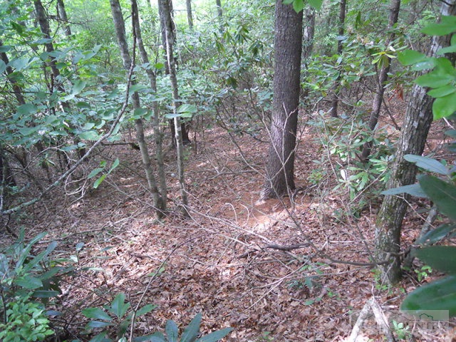 Grouse Ridge Boone, NC 28607 - Photo 8 of 15 Gallery Image 8