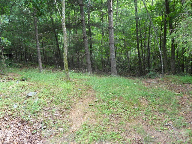 Grouse Ridge Boone, NC 28607 - Photo 10 of 15 Gallery Image 10