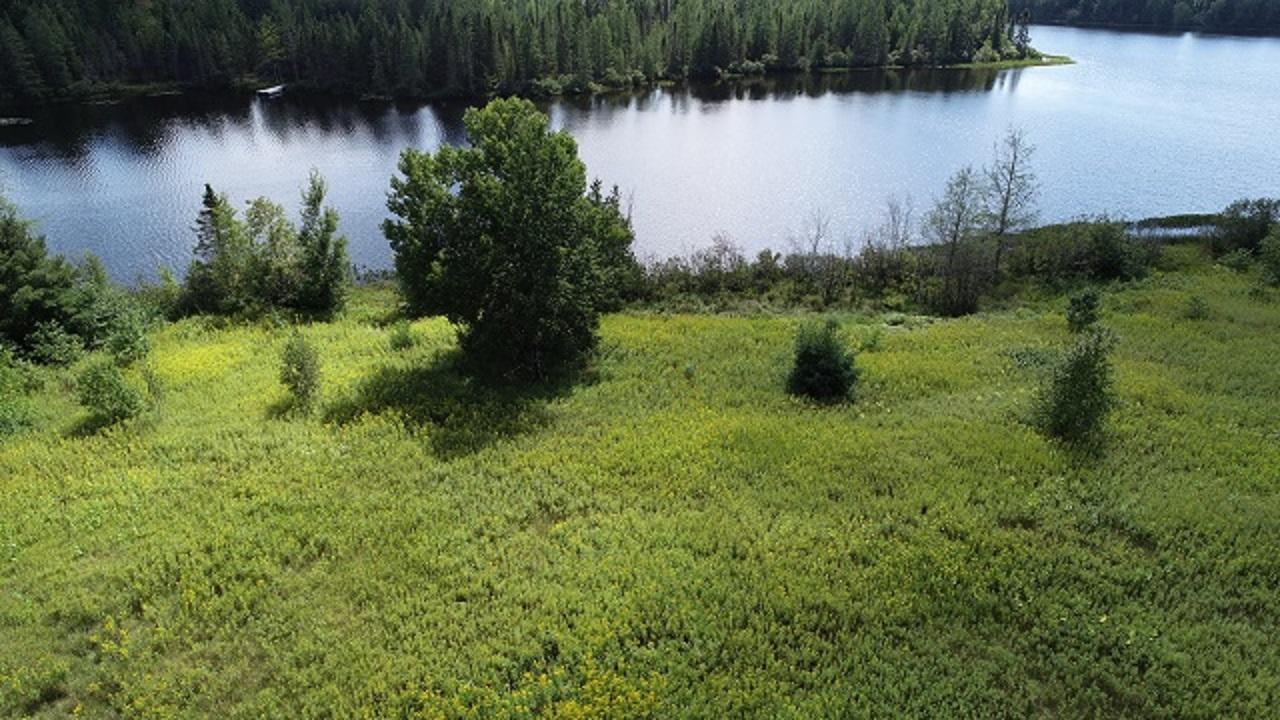 Lot 24 Weber Road Mercer, WI 54547 - Photo 1 of 19 Gallery Image 1