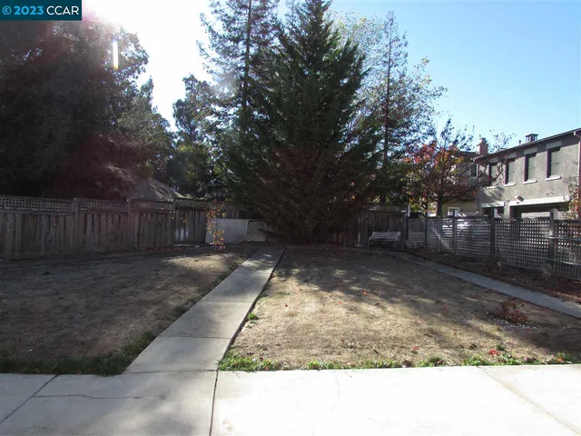 a view of a backyard with trees