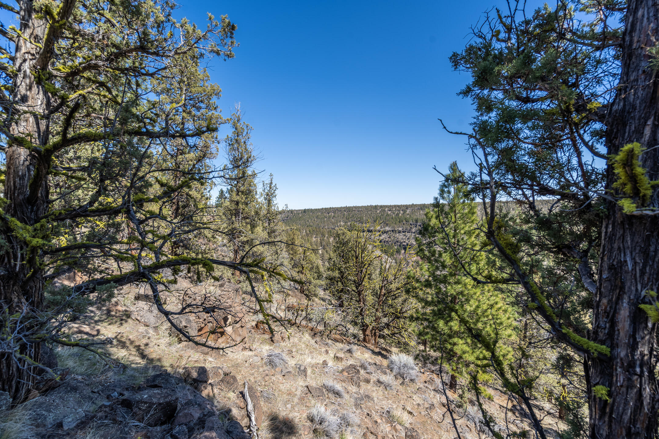 Lot 12 Mountain View Road Sisters, OR 97759 - Photo 2 of 29 2021_04_09_lot12_mountain_view_rd_sister