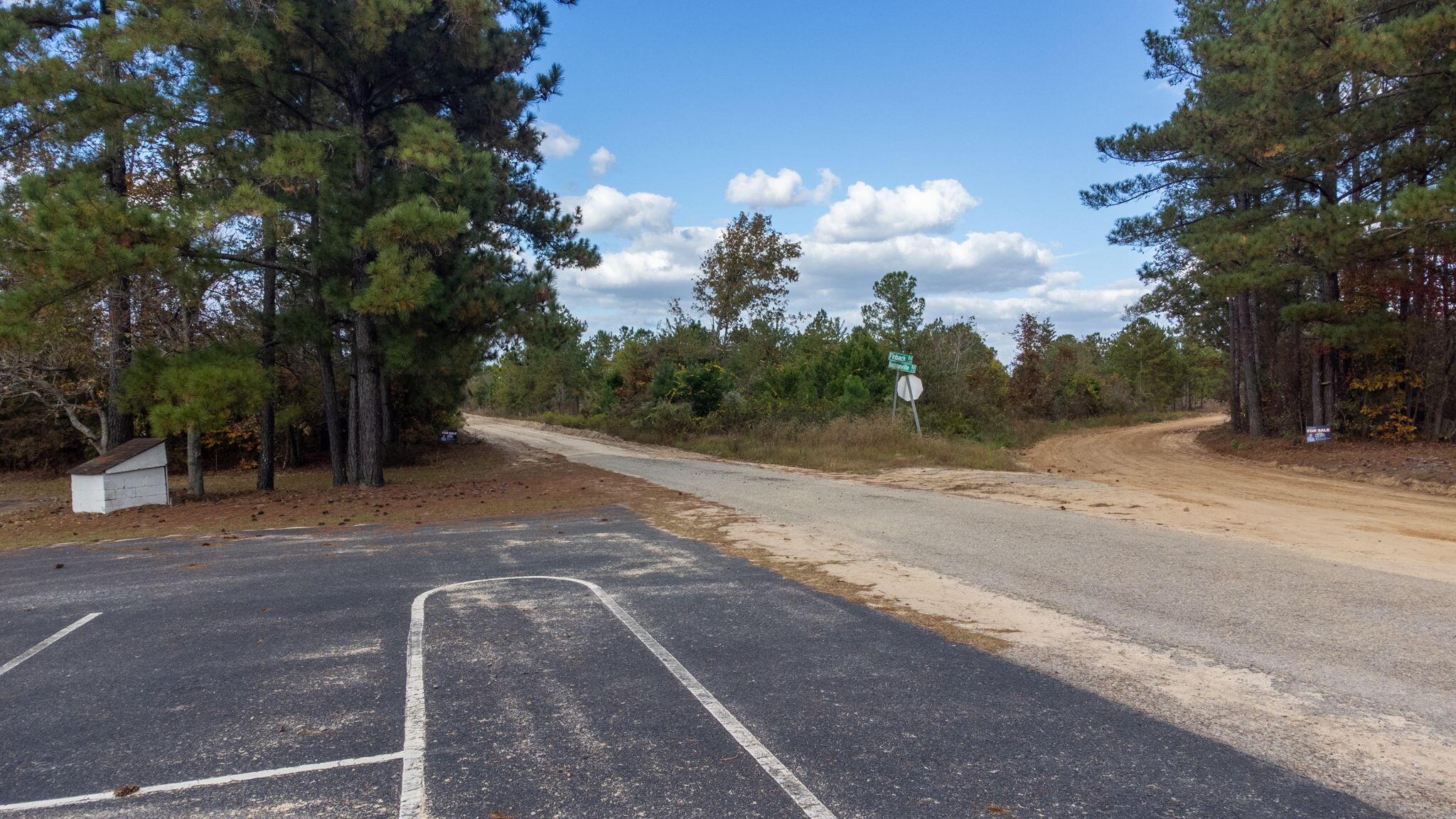 0 J B J B Swartz Road Wagener, SC 29164 - Photo 6 of 9