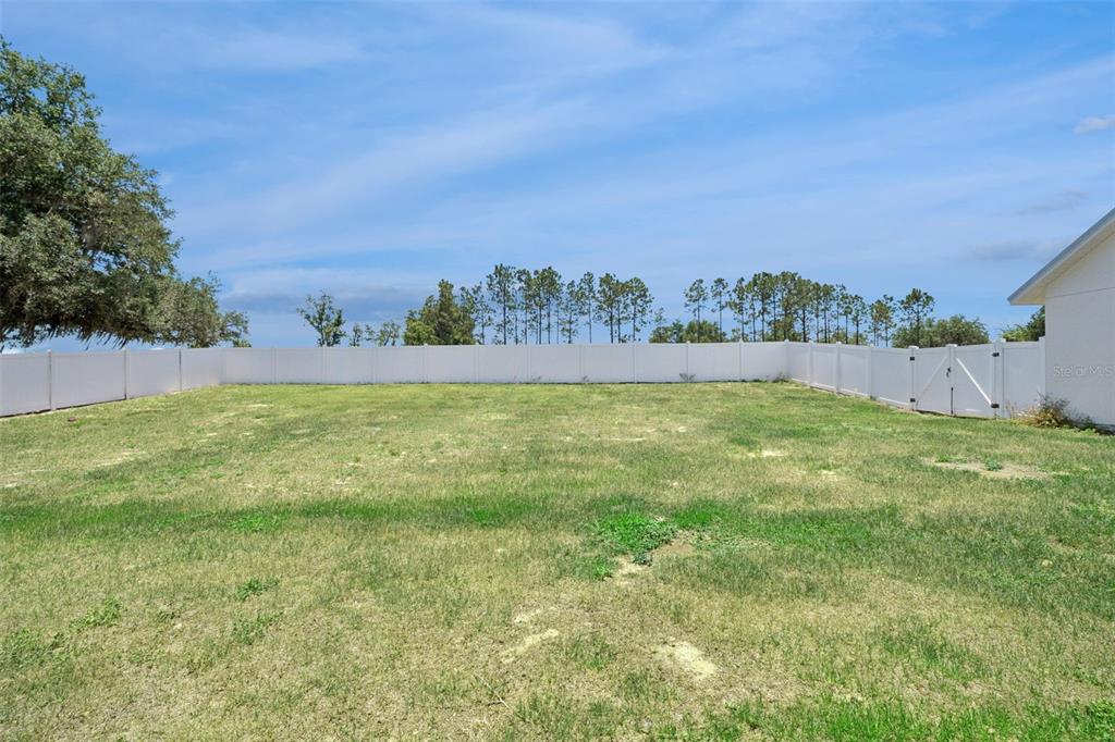 7956 Lake Nellie Road Clermont, FL 34714 - Photo 53 of 59