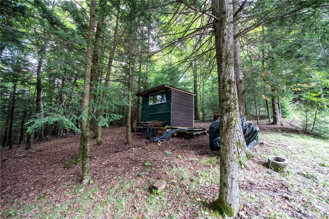 144 Joe Chamberlain Road Roseboom, NY 13320 - Photo 17 of 20 Gallery Image 17