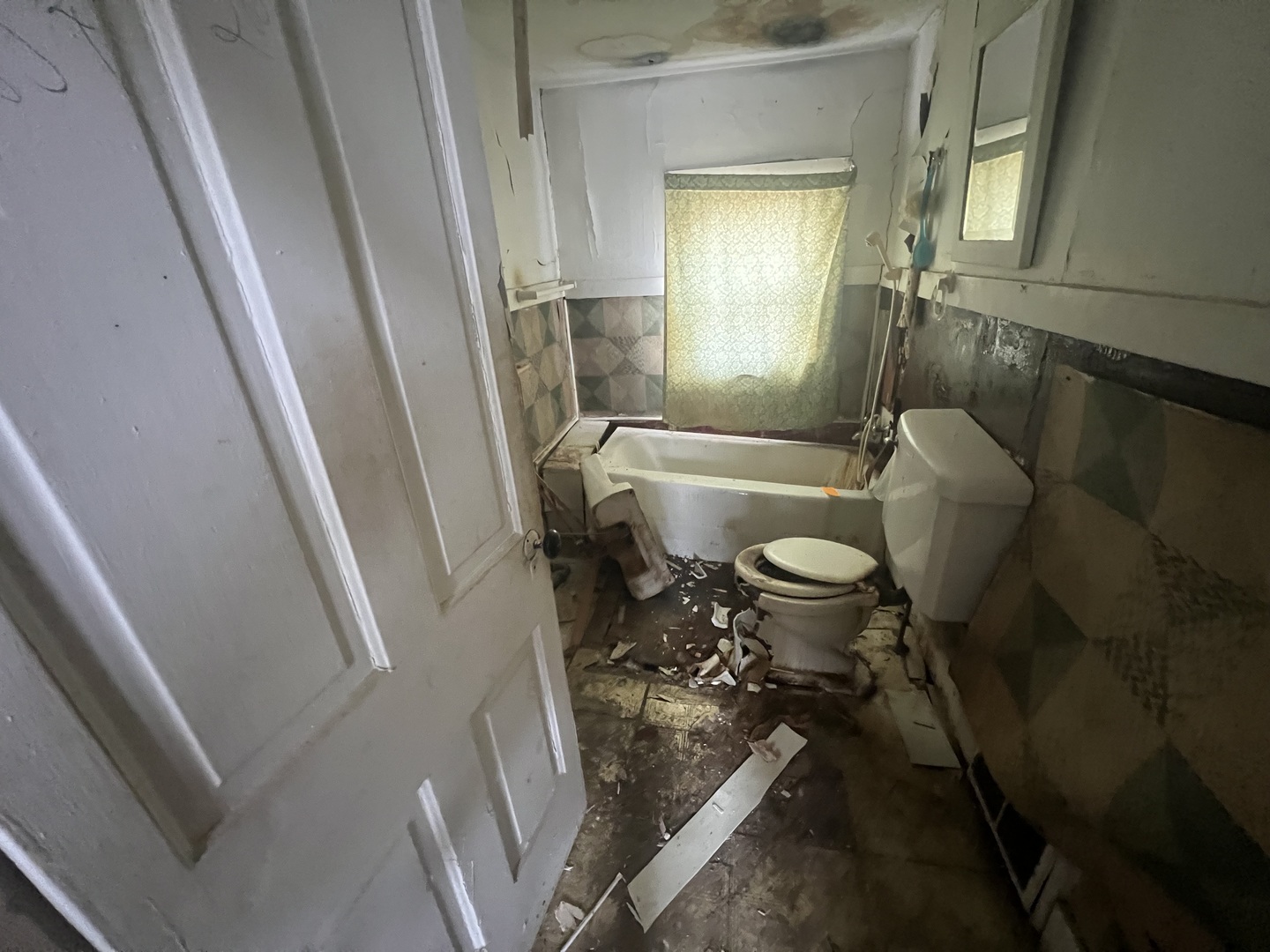 429 East Locust Street Kankakee, IL 60901 - Photo 16 of 21