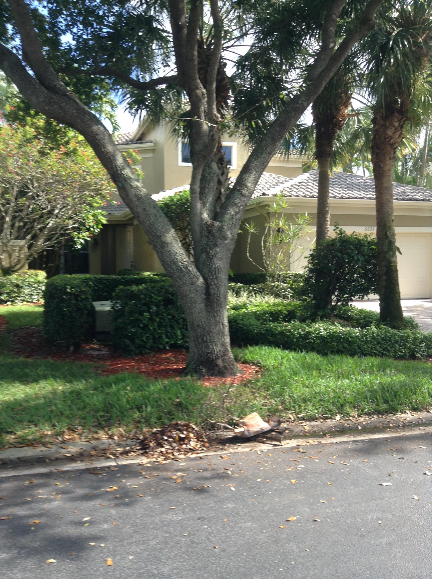 6654 Northwest 23rd Terrace Boca Raton, FL 33496 - Photo 1 of 36 ALI BANYANS