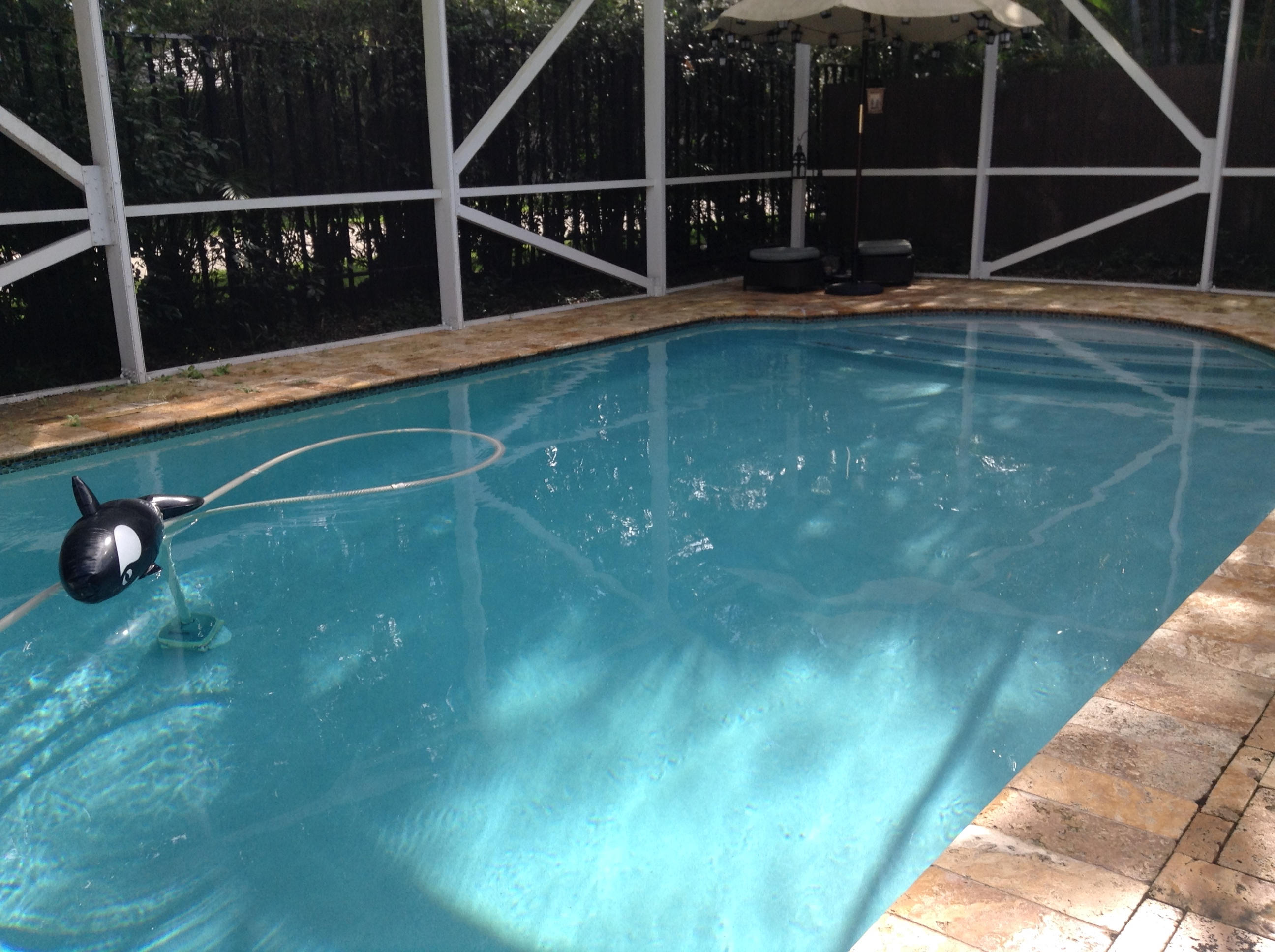 6654 Northwest 23rd Terrace Boca Raton, FL 33496 - Photo 32 of 36 IMG_1016