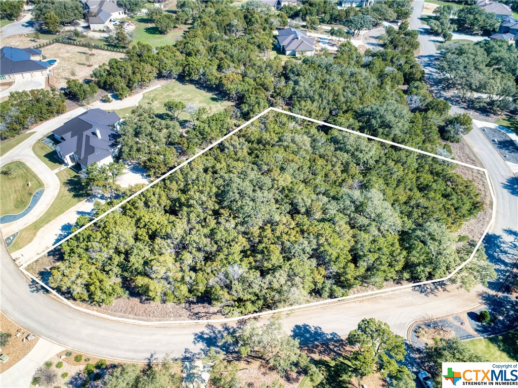 27202 Eichenbaum Road New Braunfels, TX 78132 - Photo 1 of 1 a view of a plant in a yard