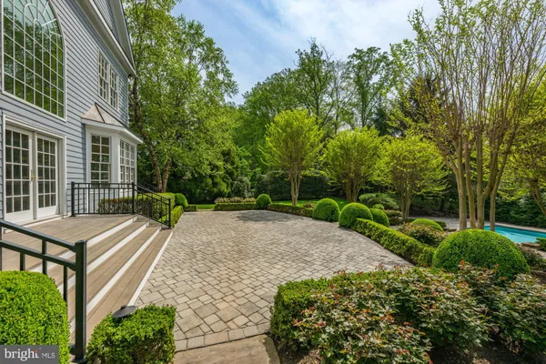 a view of a backyard with plants and trees