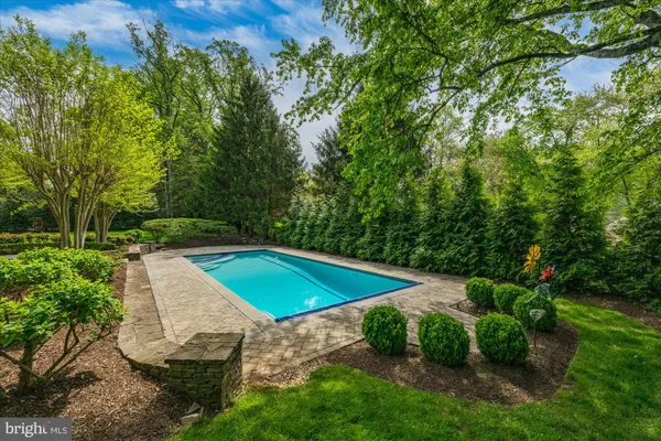 a view of a backyard with potted plants and large trees
