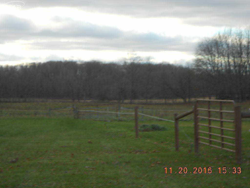 6275 North Henderson Road Columbiaville, MI 48421 - Photo 25 of 32 21239071-24.JPG