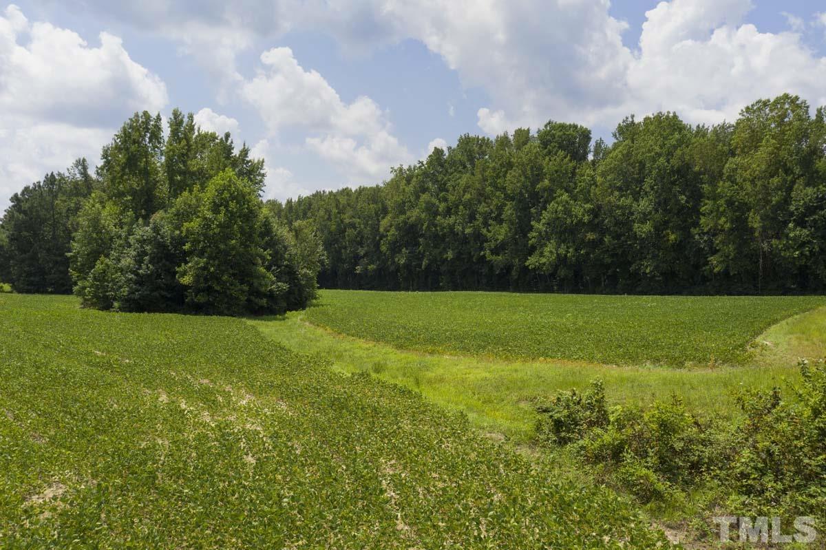 0 Liles Dean Road Wendell, NC 27591 - Photo 1 of 10 Gallery Image 1