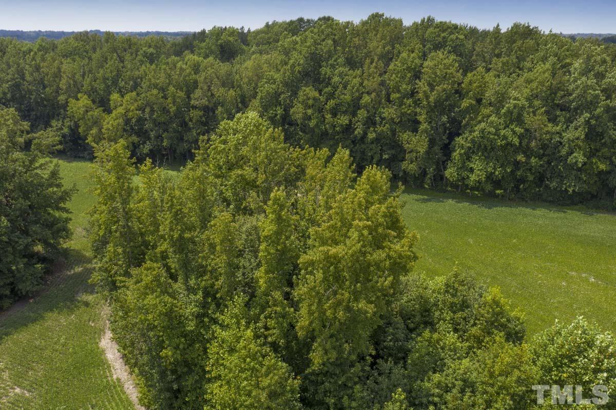 0 Liles Dean Road Wendell, NC 27591 - Photo 3 of 10 Gallery Image 3