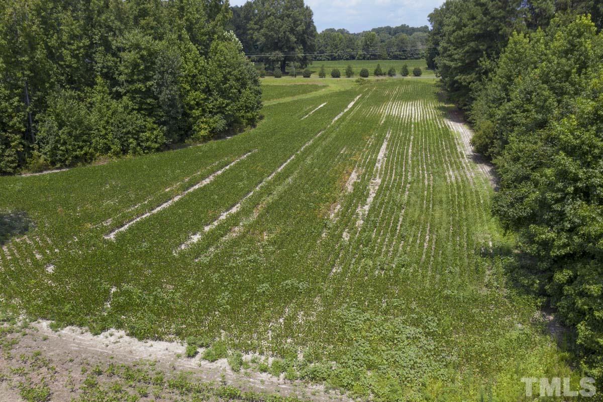 0 Liles Dean Road Wendell, NC 27591 - Photo 4 of 10 Gallery Image 4