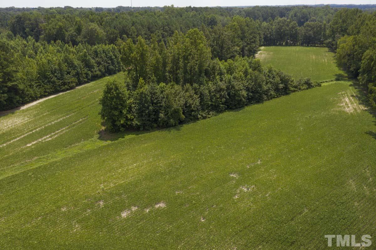 0 Liles Dean Road Wendell, NC 27591 - Photo 5 of 10 Gallery Image 5
