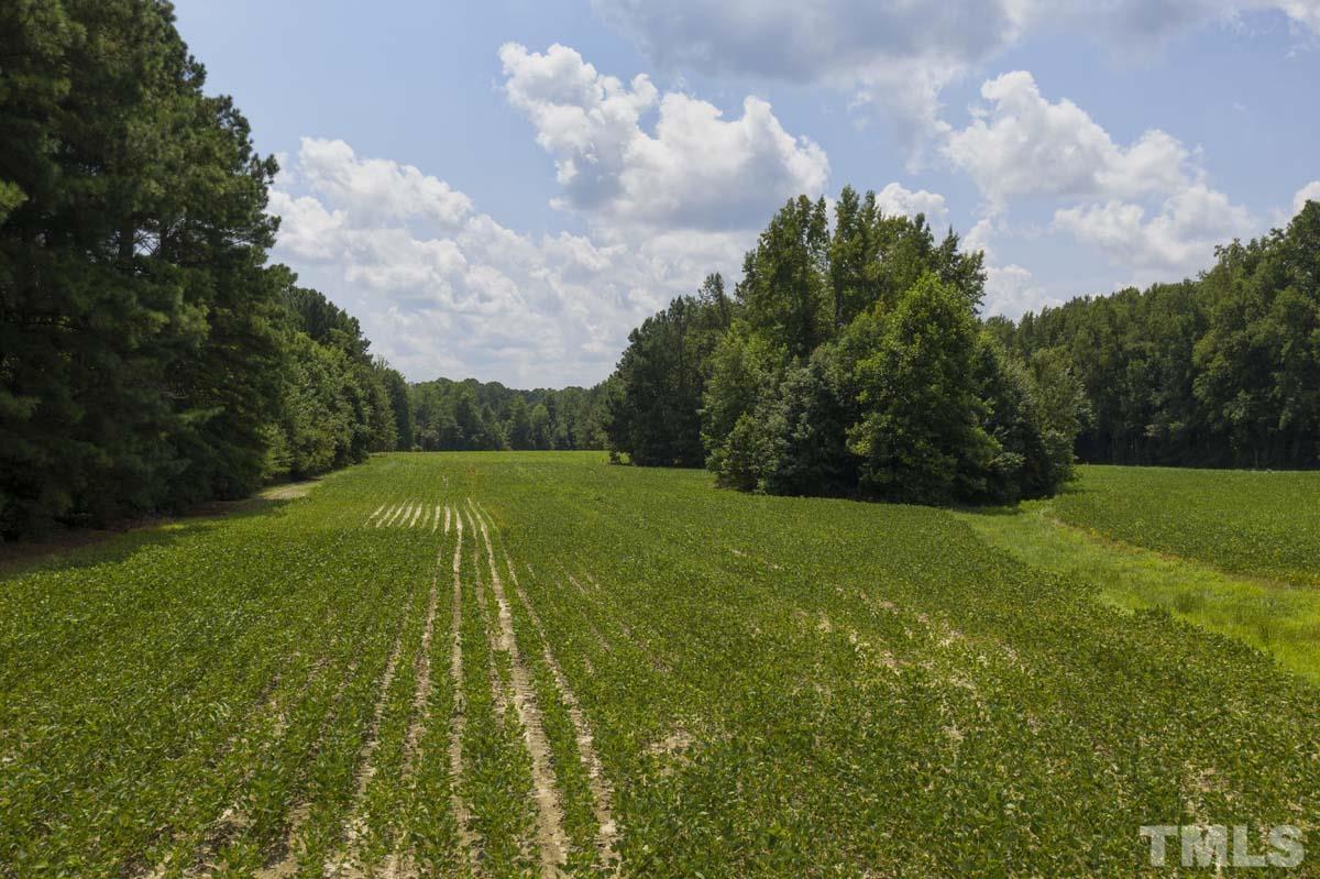 0 Liles Dean Road Wendell, NC 27591 - Photo 10 of 10 Gallery Image 10