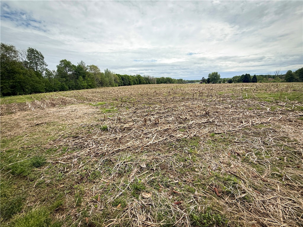 Gifford Road Hannibal, NY 13074 - Photo 11 of 50